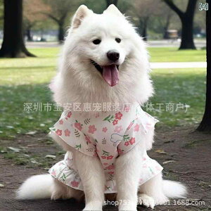  ^ TGh t s[X  t ʋC 킢 wS |GXe ^ ^