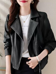 WPbg fB[X U[WPbg tH C_[XWPbg TCY  n AC{[n J[L R[q[F   PUU[  Wbp[ ig