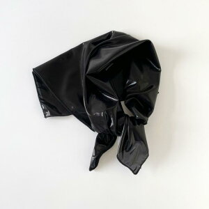 XJ[t fB[X obO wAoh ` ڐG⊴ qbvzbv o_i F F   Vo[ D 60cm |GXe