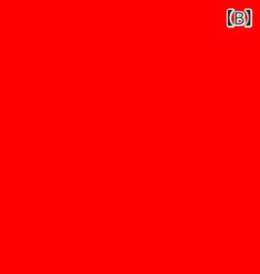 u[c fB[X nCq[ 12cmȏ  vbgtH[ EhgD h XeBbgq[ Ou[c |[_X RXv t H~   