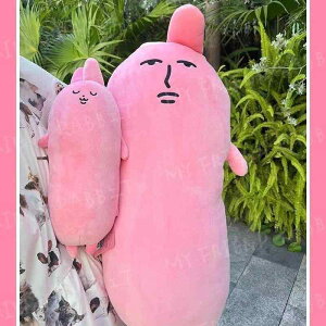 ʂ  sN 킢  NbV |GXe 50cm qp