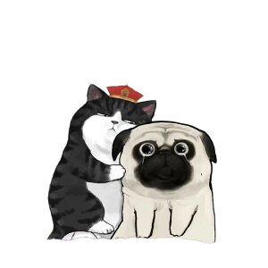  NbV 킢 Aj LN^[ ʂ PP Q  xbh Q Mtg 45 50 40 60 35Z`