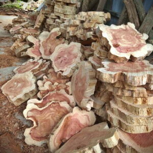  R[X^[ VR bhV_[ C ~  fM}bg  7cm 9cm 12cm 15cm 18cm 20cm 25cm