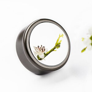 ۉt  i p[c W t^ 304XeX| 201XeX| gїp rWlXp jp Vv