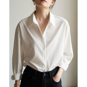 Vc fB[X ItBXJWA gbvX   POLO Rbg |GXe ؂ւ 3D ʋ H