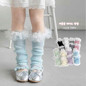 C LbY ̎q t  hbg `[ t bOEH[}[ ʋC z Jt \bNX q C