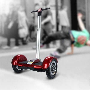 �d�� �o�����X�X�N�[�^�[ ��l �q�� ��� ������� �A���~���� 10�C���` �̊���