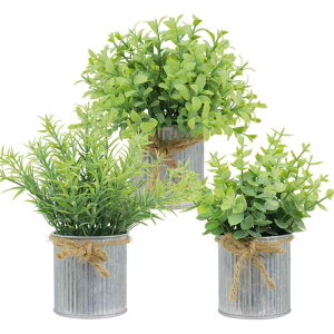  ϗtA [J [Y}[ tFCNO[ ~j|bg A   rO CeA fBXvC