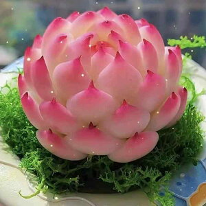 A tX[Y 劔 9cm 񂹐A ~  ϗtA Ă₷  Mtg v[g 蕨