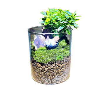  ۋ ~j~ KX {{g ??  t  u G ϗtA fXN ItBX   킢 