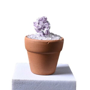  VR  zW{ ~ ԍ ?  zW{ ? i 픫 n H|i 蕨