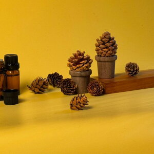 J[ANZT[ ӓ ڂ A}fBt[U[ ԍ F  fXN G