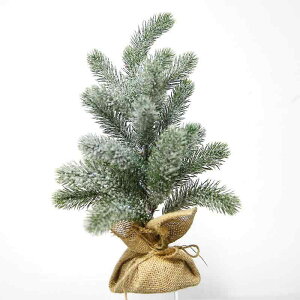 NX}Xc[  30cm 45cm ቻ PE ~jc[ fR[V z[ p[eB[ Cxg fBXvC