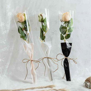 ԑ  fB[X KN o ԕ Mtg  45cm 12cm zCg sN ubN