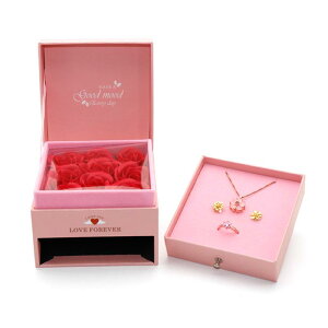 WG[{bNX fB[X w sAX lbNX [ P[X 9 o AN sN ANZT[ bL[ACe Mtg