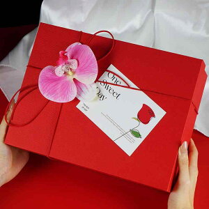 Mtg{bNX fB[X Y ԐF 펆 n ؕ ܕt  o^Cf[ a v[g 蝆ݎ  bsO{bNX