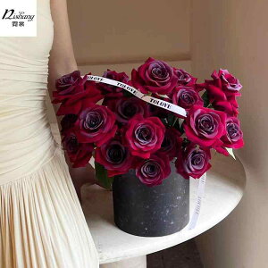  Mtg{bNX 嗝Ζ͗l t[AWg {bNX v[g bsO ` ~` p[vn