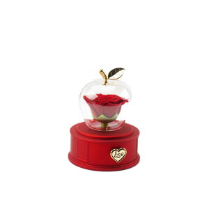 w Mtg{bNX Abv^ [Y KN WG[{bNX  XCh   sNn bh O[