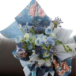 bsOy[p[ ԑ Mtg ԍ  60 50cm h ؍ o^Cf[ [Y 󐅐F sNn t ju[ iח zIW Ԏ CbN  DF  10Zbg