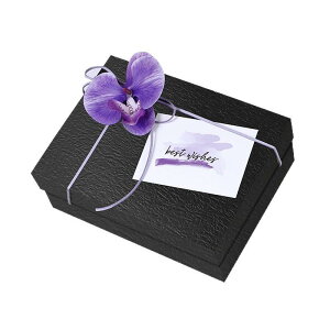 Mtg{bNX TCY v[g{bNX t^t n bsO{bNX ANZT[  o^Cf[ a  LO TvCY  