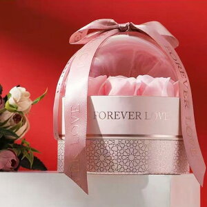 WG[{bNX fB[X  [Y O P[X ANZT[ [ sN Mtg {bNX v[g pr ig