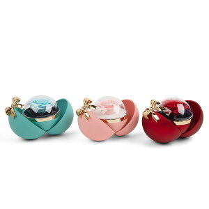 w P[X fB[X Cz  WG[{bNX lbNX sAX [P[X Mtg{bNX   o^Cf[ NX}X a