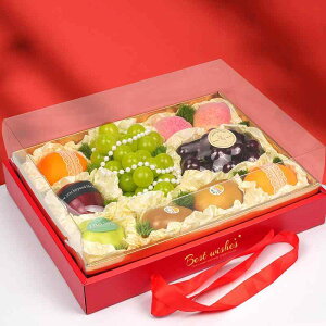 Mtg{bNX t[cp V 5kg ԐF   ̔p 10Zbg