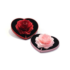 WG[{bNX fB[X i [Y KN w lbNX sAX P[X ANZT[ [ Mtg n[g^ H` ubN sN bh