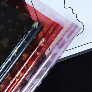 bsOy[p[ ̃n[g hOPP ԑ NX^  56cm  cIF g g F