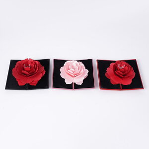 w P[X v|[Y o^C n[g^ [Y KN ] WG[{bNX  wփP[X ANZT[P[X Mtg bsO sNn bh ubN