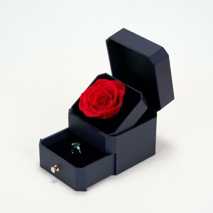 WG[{bNX i Mtg{bNX ANZT[P[X ̑p bsO{bNX  lp