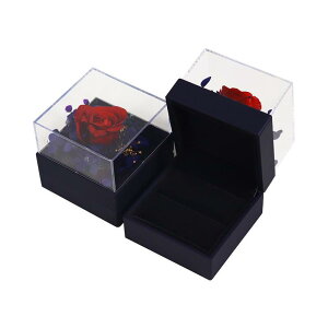 ANZT[P[X fB[X i WG[{bNX S` O lbNX [ {bNX sNn u[n Mtg bsO  蕨