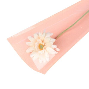 bsOy[p[ vt[obO ԑp MtgobO u[PobO h  ԉpi F sNn F