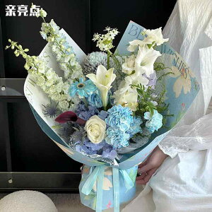 bsOy[p[ ԑ Mtg 玆 h ԉ u[P sN u[ N[ zCg 35cm×50cm 10