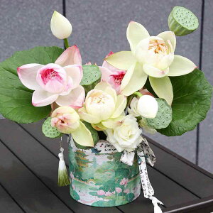 ԕr Ԋ ioPc^ ԍ ԑ AWg VJ גq 