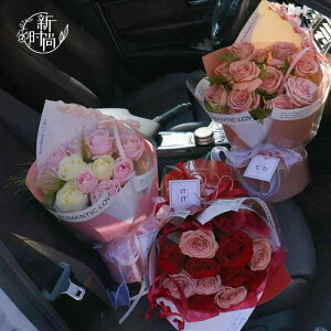 ԑ p ` MtgbsO  ?F 󕲐F 󎇐F ? F ? F ?F njJy[p[ n t F  Zt@