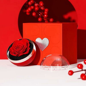 w fB[X ~ ԕ WG[{bNX ANZT[P[X {bNX  sNn bh 133 126 103mm