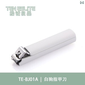 ܐ؂ fB[X Y lCPAZbg XeX 5_Zbg  ΂ߌ gїp ƒp  x