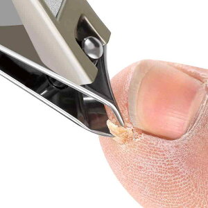 ܐ؂  ΂ߐn n jbp[^ [  ד ܂₷t ubN Vo[