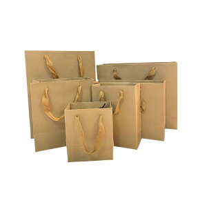  񂰑 Ntg I  A eCNAEg   Vbv p n 230g 300g  