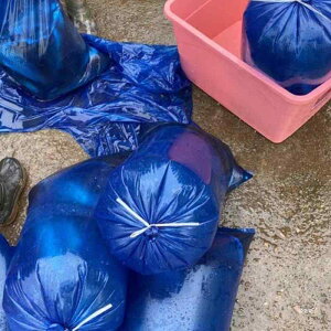 �� �C�N �� �A���p �_�f ����� ���� ���Y �s�� ���c �v���X�`�b�N��