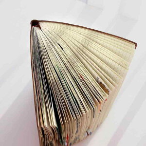 m[g fB[X Y a5   r  킢 Vv n IW ubN uE Cbh CO[