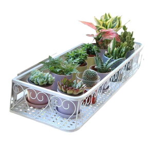 ԑ t[X^h ACA ݂艺 g  A | bN v^[bN A x_  I