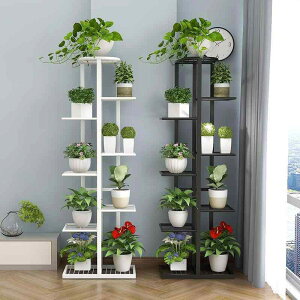 ԑ ACA   ϗtA ~ X^h A u I w x_ K[fjO bN 80cm ubN zCg R[q[