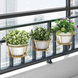 ԑ v^[X^h ACA A Aؔ ~͑  u x_   K[fjO ubN zCg uY S[h