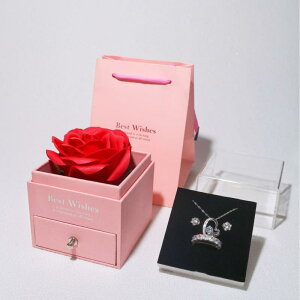 WG[{bNX i AN o w lbNX sAX [P[X Mtg{bNX ANZT[P[X bsO v[g sNn u[n