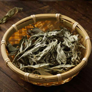 tbgoX GXe A} 쐶  䈗t 䈑 q  Y    pE_[ jp