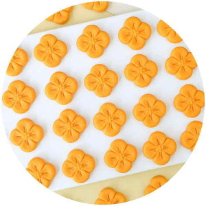 NbL[ j fR[V Ăَq XC[c 퉷ۑ