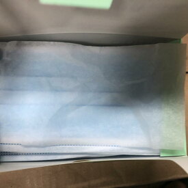 マスク 使い捨てマスク 不織布 三層 飛沫対策 防塵 ブルー 普段使い