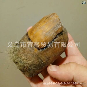 u IuWF f[ gD TXJb` rbOtbg ̑   r[`X^C  